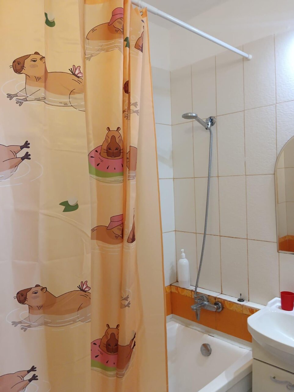 1-комнатная квартира 31 м², Красноярск — фото 5