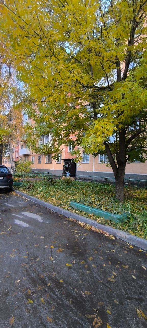1-комнатная квартира 30 м², Новосибирск — фото 1