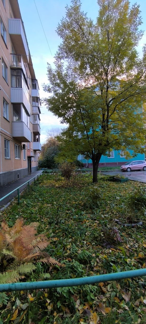 1-комнатная квартира 30 м², Новосибирск — фото 2