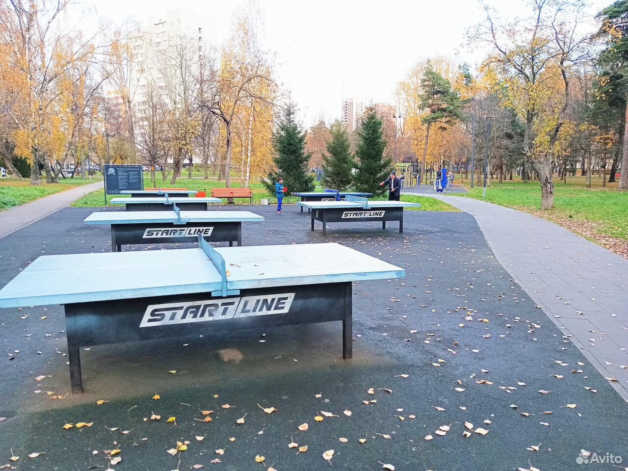 1-комнатная квартира 24 м², Москва — фото 3