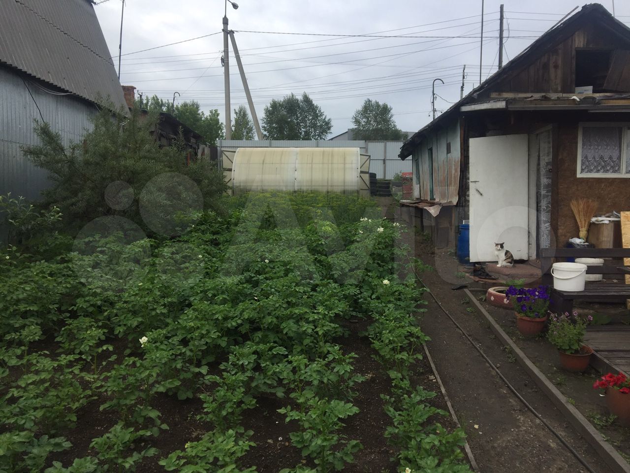 Дом 30 м², Иркутск — фото 3