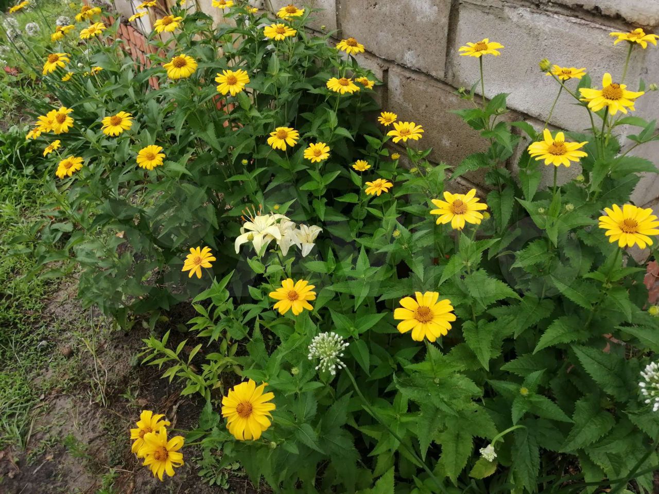 Фото 2
