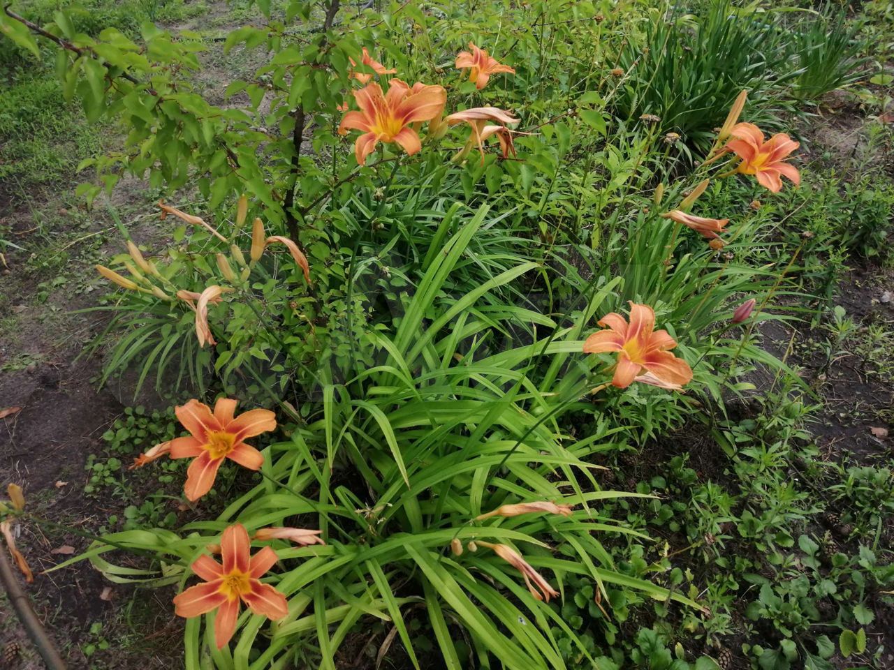 Фото 3