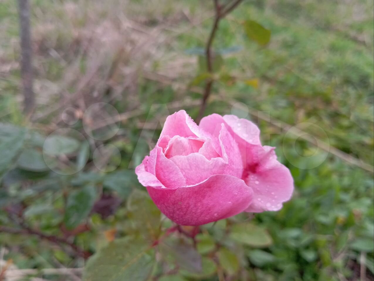 Фото 3