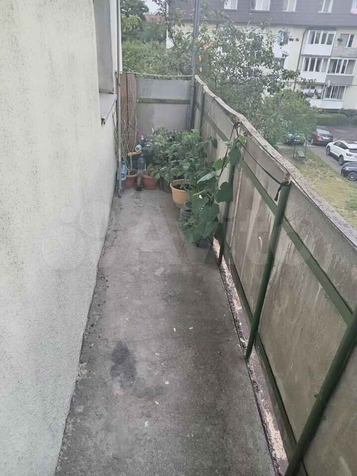 3-комнатная квартира 67 м², Калининград — фото 3