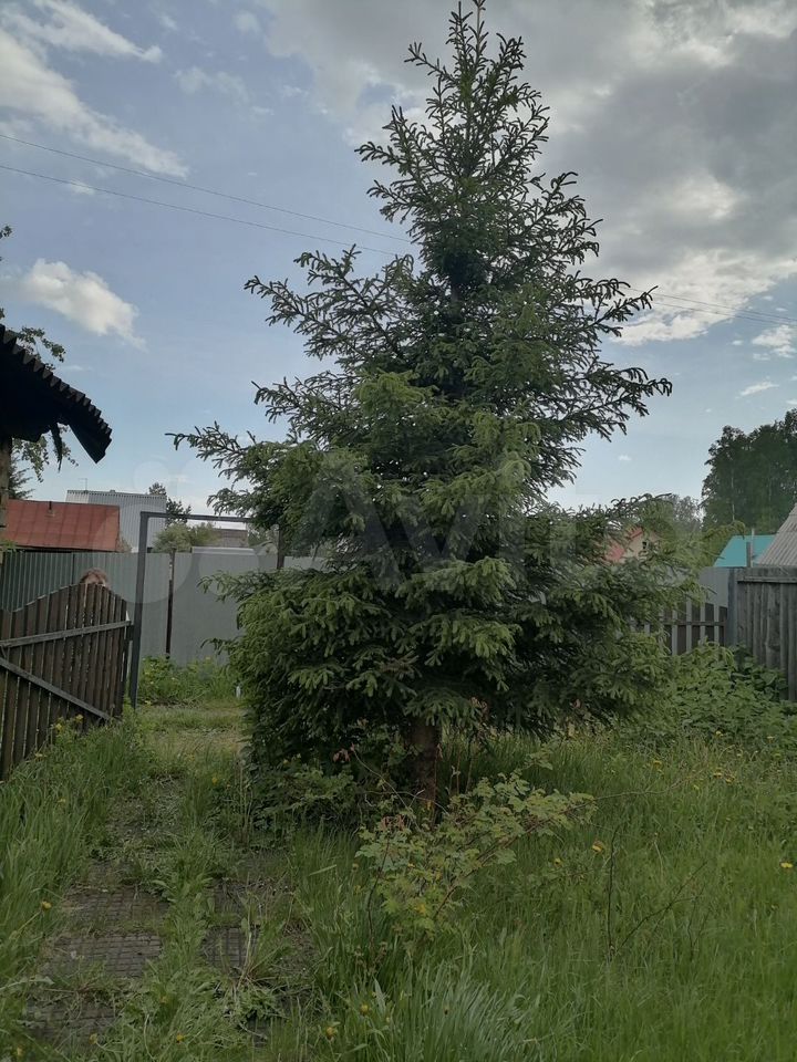 Дом 30 м², Денисово — фото 5