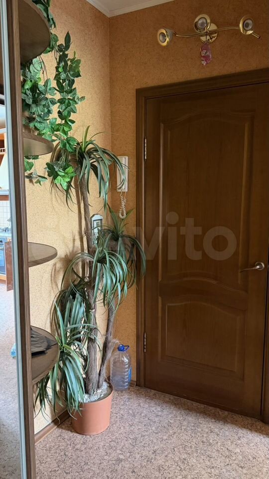 Фото 4