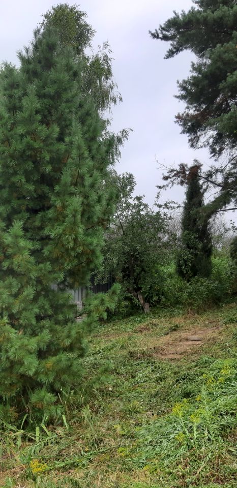Участок 8 сот., Скобелево — фото 4