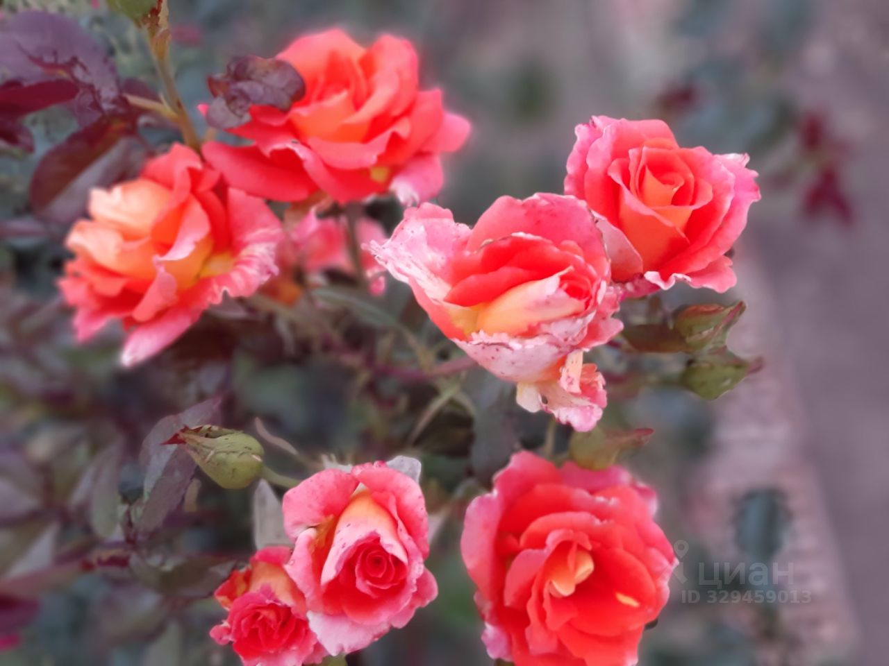 Фото 3