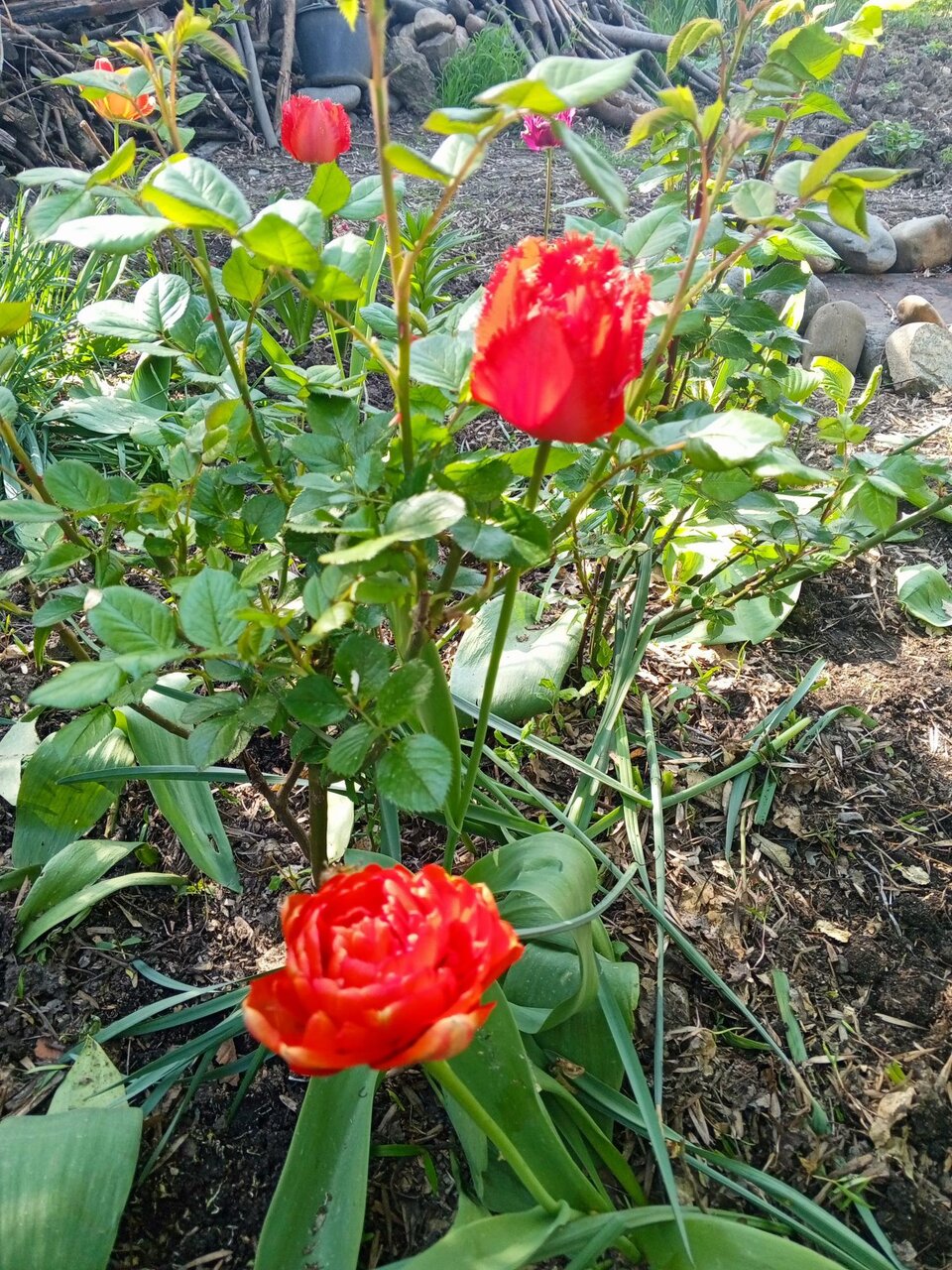 Фото 2