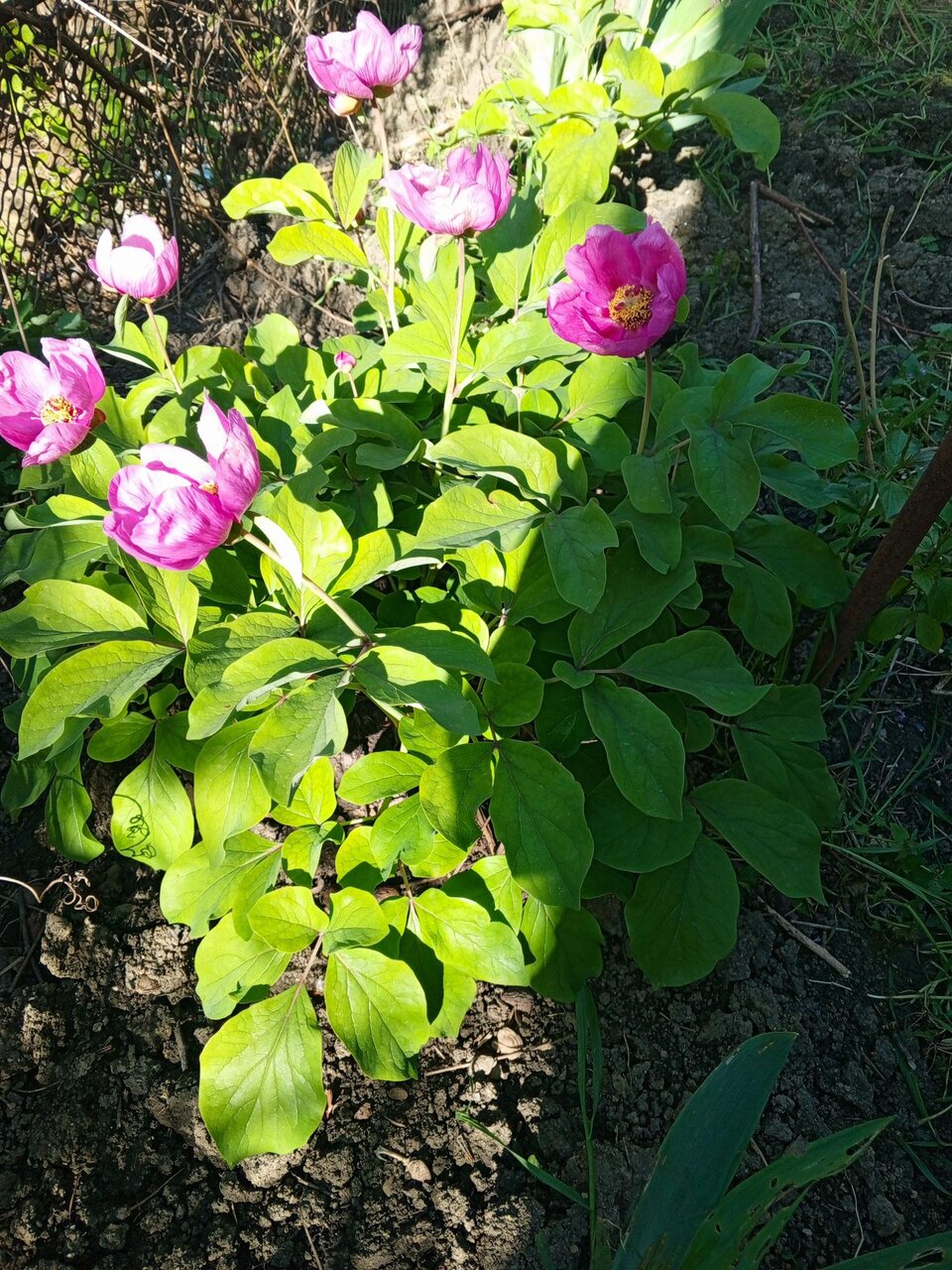 Фото 3