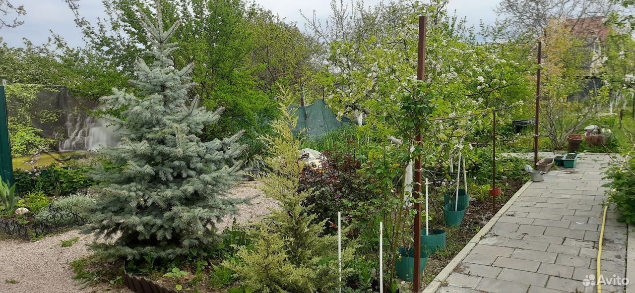 Дом 50 м², Симферополь — фото 3