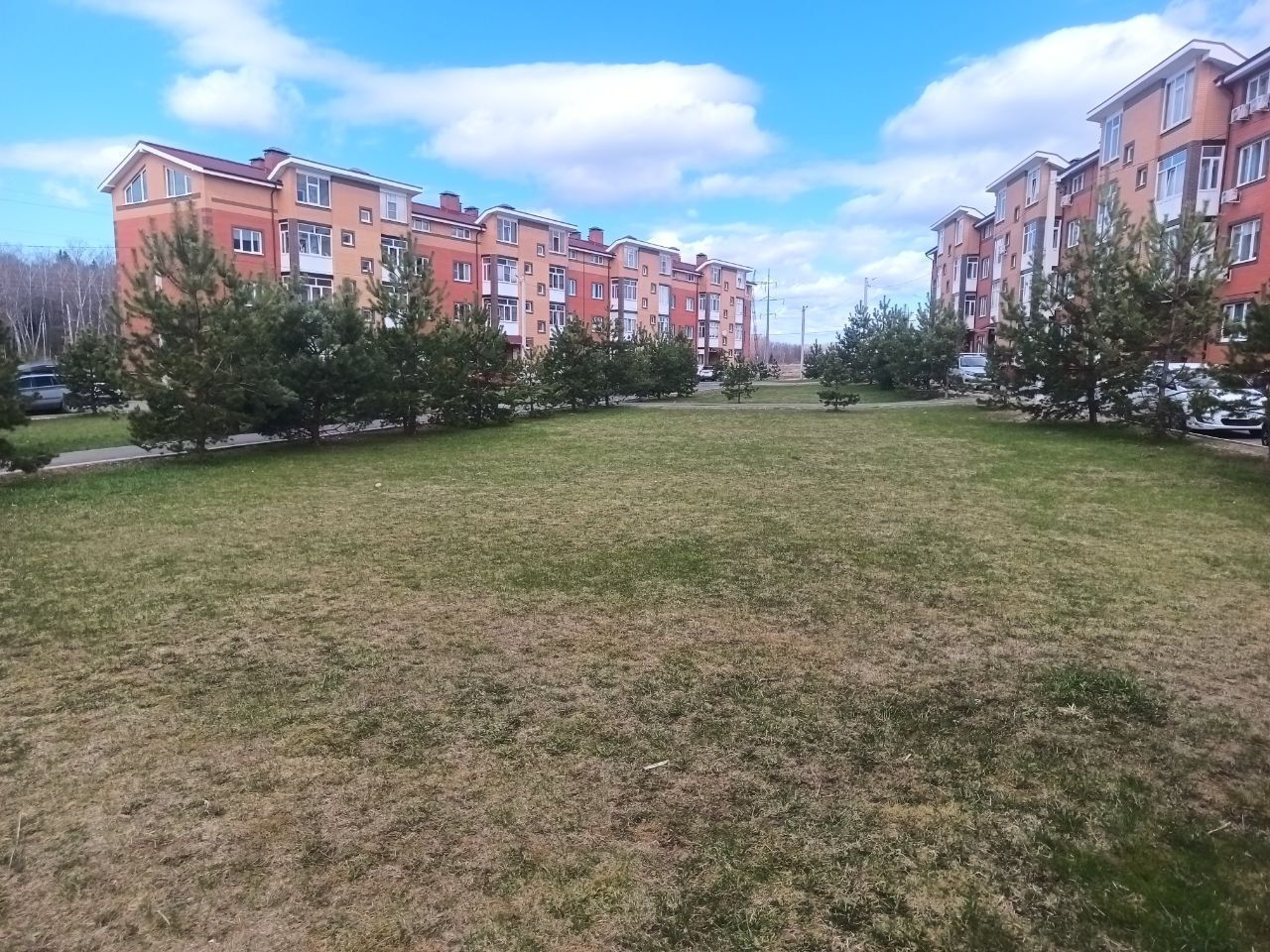 Фото 3 из 15: 3-комнатная квартира, 76 м²