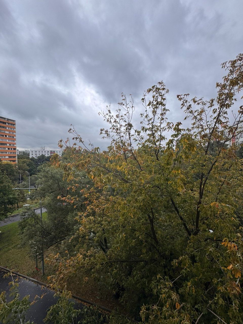 Фото 5 из 7: 1-комнатная квартира, 34,9 м²