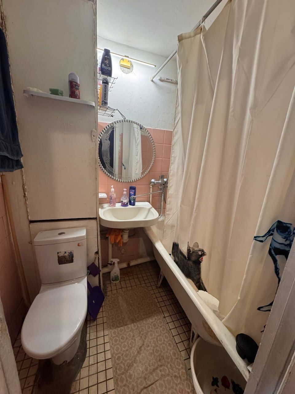 Фото 3 из 7: 1-комнатная квартира, 34,9 м²