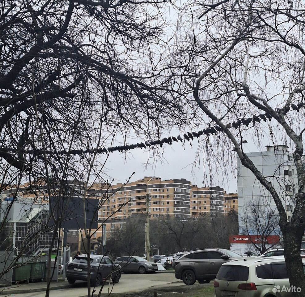 2-комнатная квартира 51 м², Ростов-на-Дону — фото 4