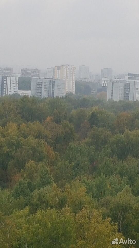 1-комнатная квартира 33 м², Москва — фото 2